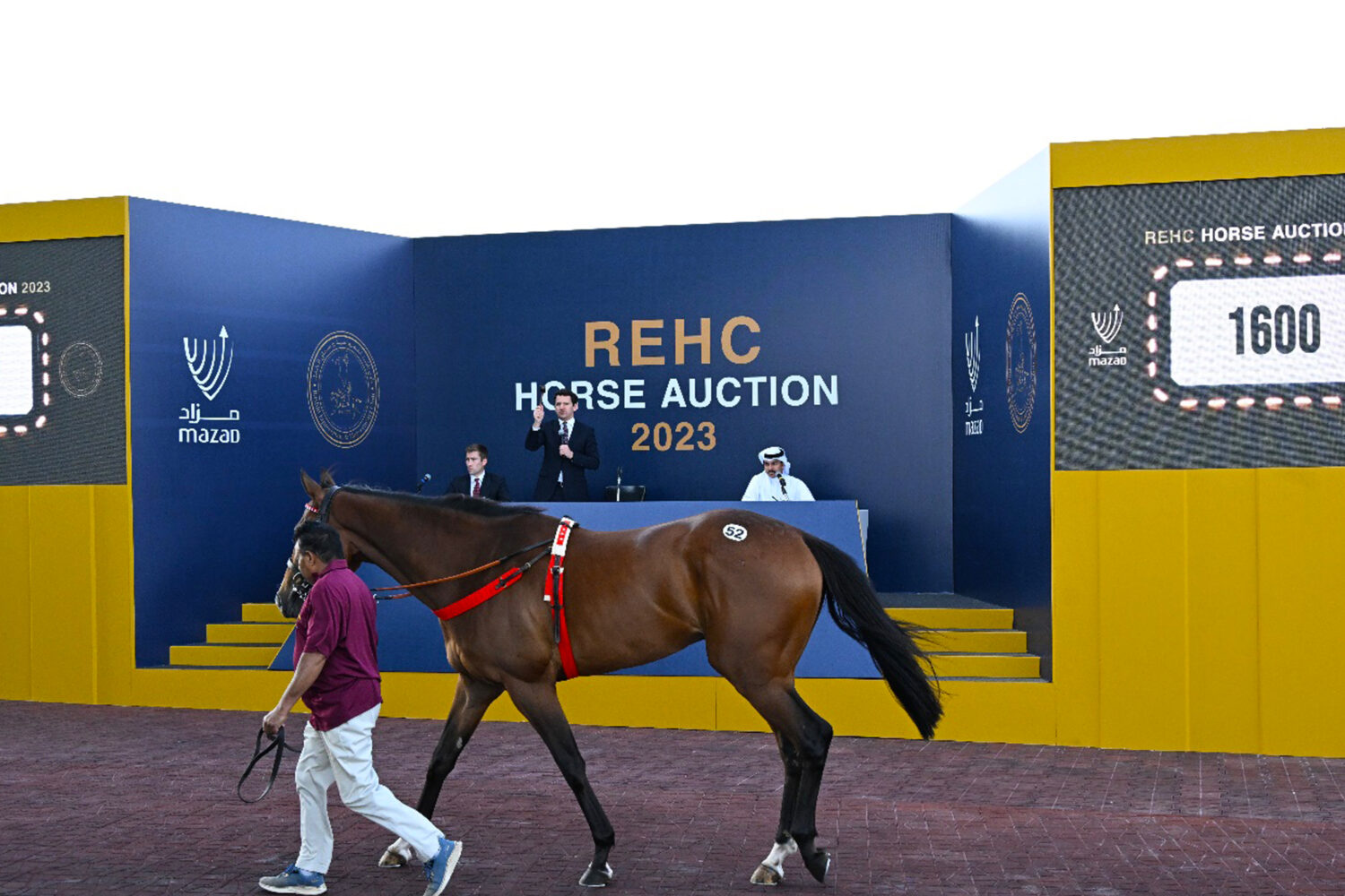 REHC Horse Auction Returns