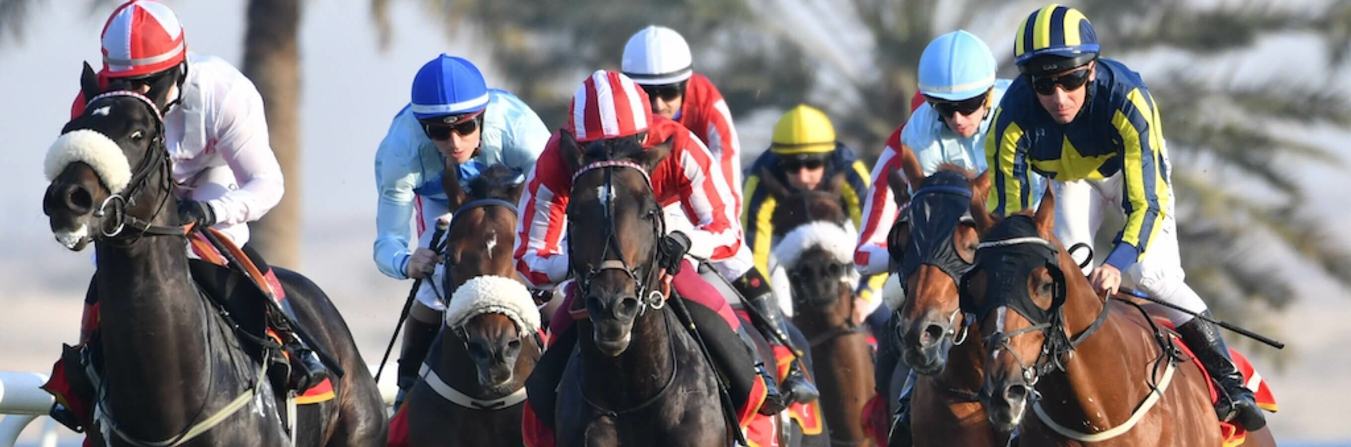 Godolphin horses target Bahrain for the final two Bahrain Turf Series races on Friday