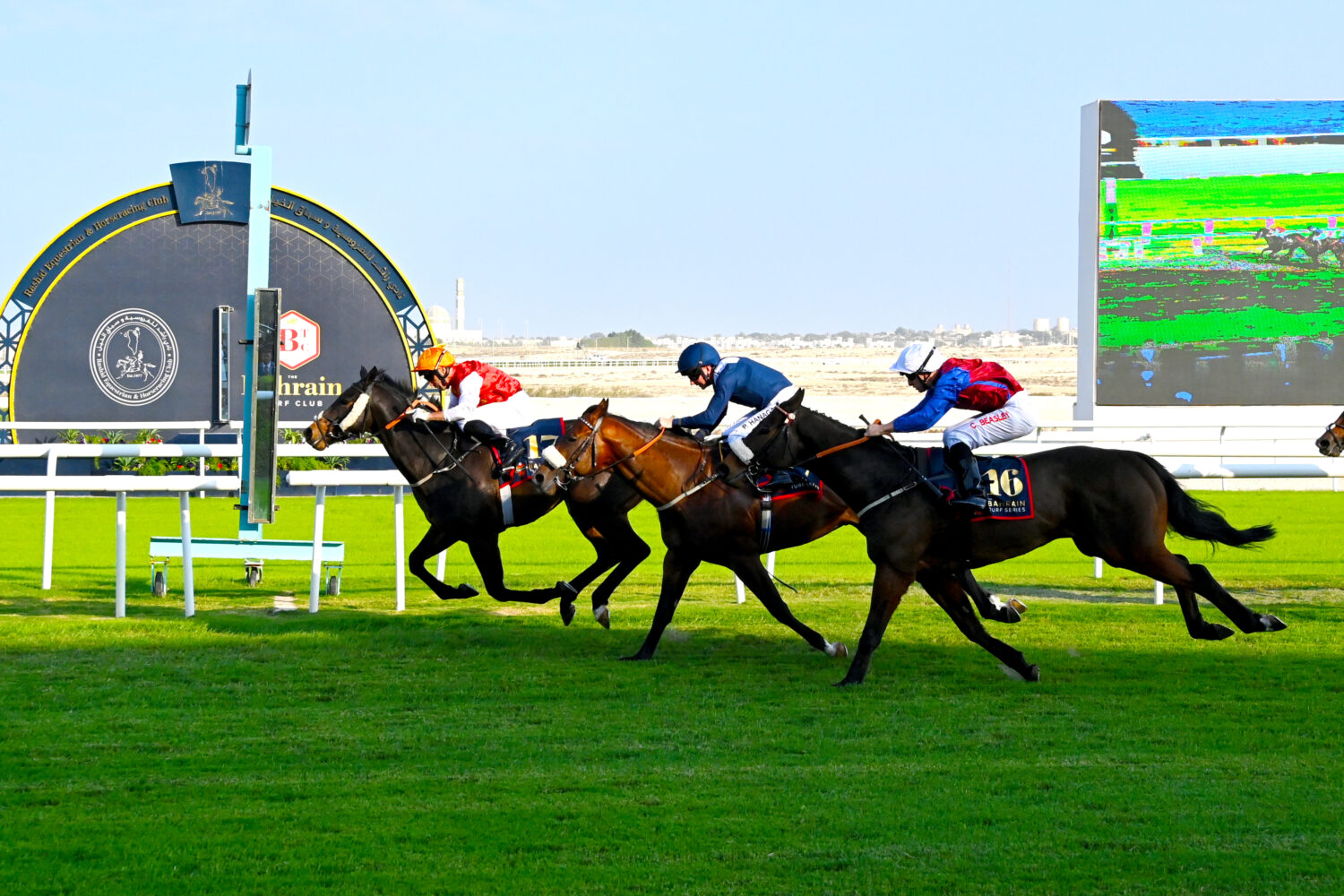 British-trained horses lead the way in Bahrain Turf Series